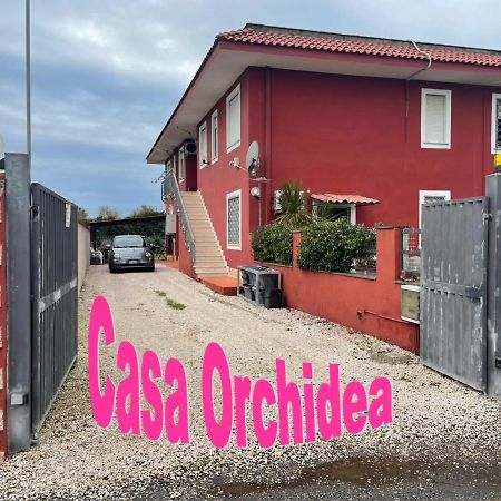 Casa Orchidea Apartment Fiumicino Luaran gambar