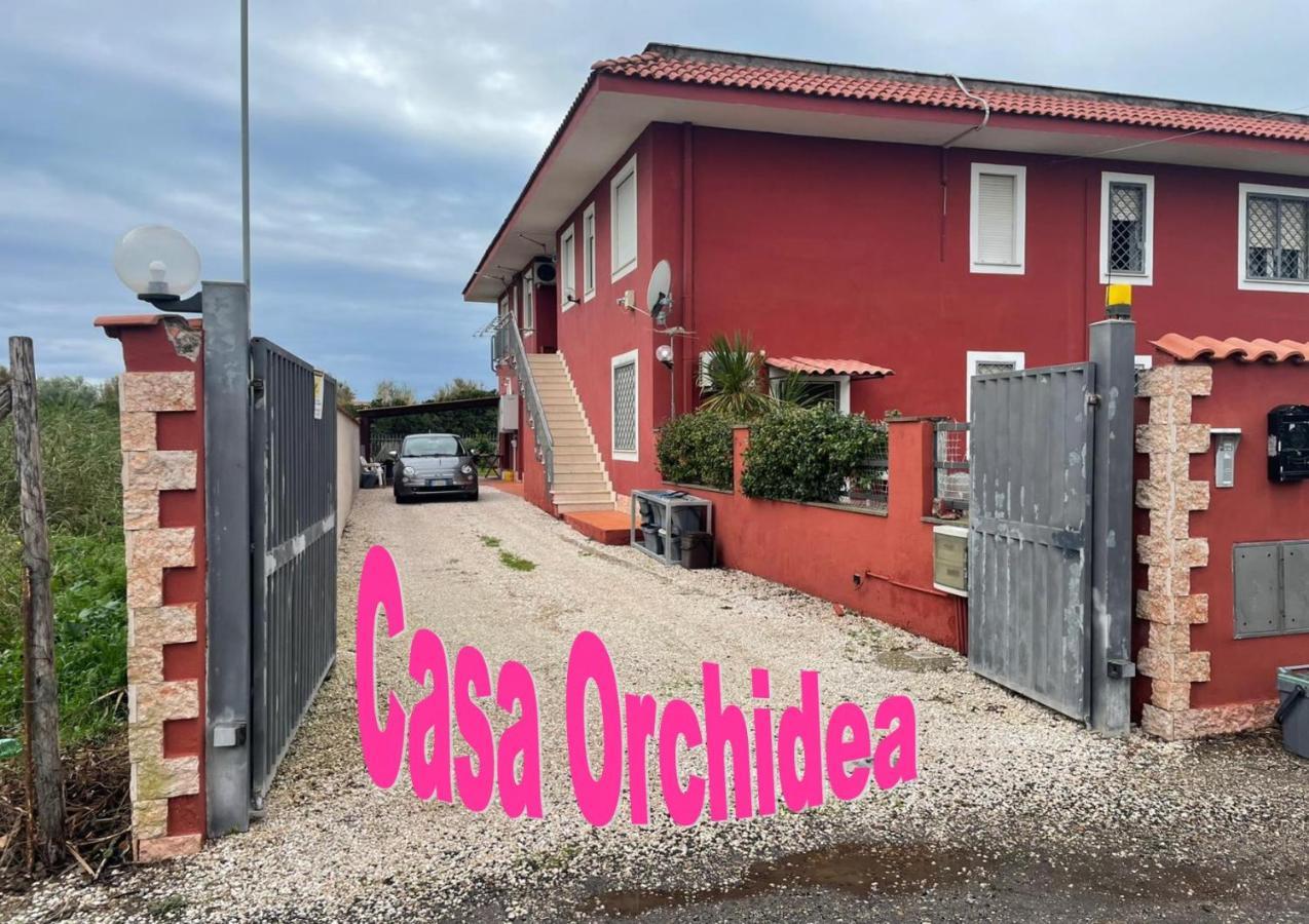 Casa Orchidea Apartment Fiumicino Luaran gambar